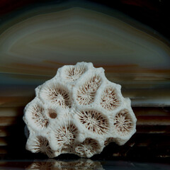 -Stillleben mit KI erstellt+bearbeitet