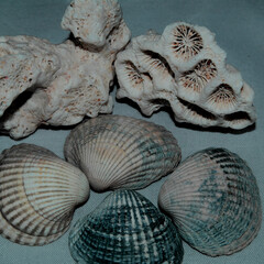 -Stillleben mit KI erstellt+bearbeitet