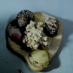 -Stillleben mit KI erstellt+bearbeitet