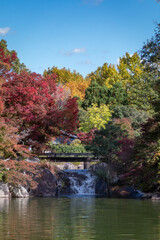 初秋の晴れた日の公園　滋賀県大津市びわこ文化公園