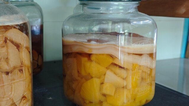 Kombucha Scoby in a glass jar. Fermented drink.