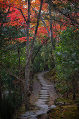 The scenery of Hosen-in Temple in Kyoto, Japan in late autumn.