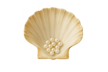 Scallop shell holding many shiny pearls
