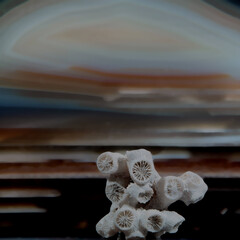 Stillleben mit KI erstellt+bearbeitet