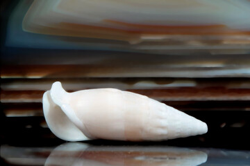 Stillleben mit KI erstellt+bearbeitet