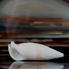 Stillleben mit KI erstellt+bearbeitet