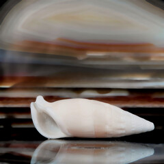 Stillleben mit KI erstellt+bearbeitet