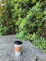 Simple takeaway coffee cup on stone table with green foliage background