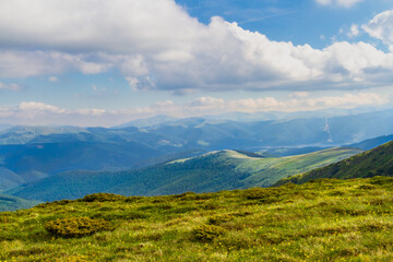 Obraz premium The beautiful landscape of the Lotru Mountains Picturesque slopes covered with flowers and tall grass. Southern Carpathians, Romania