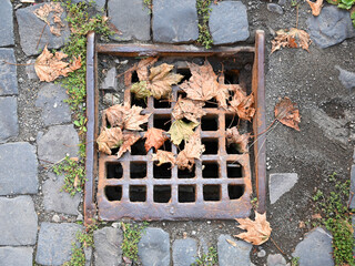 Leaves gathered in a rusty grate on cobblestone street during autumn in a small town