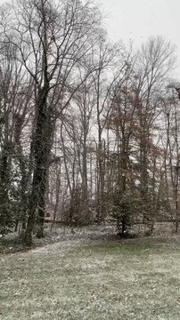 Snow falling in winter landscape, first snow in backyard in December