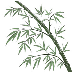 Fototapeta premium Elegant Bamboo Stalks Illustration