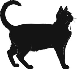 Black Cat Silhouette Minimalist Illustration