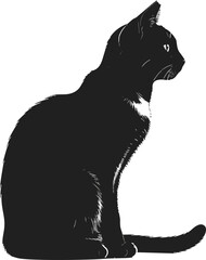 Black Cat Silhouette Minimalist Illustration