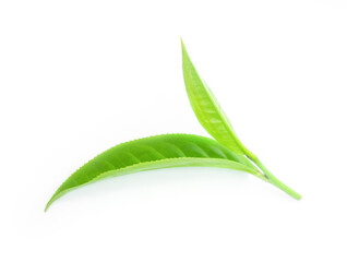 green tea leaf isolated on white background.