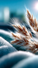 Fototapeta premium Close-up of soft wheat-like feathery plants glowing in bright sunlight against a dreamy blue background