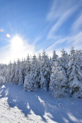 A cold winter day, Québec, Canada © Claude Laprise