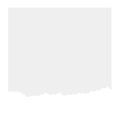 torn paper with space for text