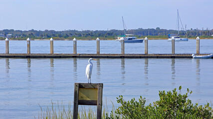 White egret perched on a wooden post overlooking a calm bay with boats