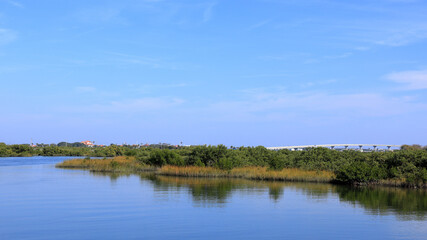Scenic view of a tranquil waterway with lush green foliage and a bridge in the distance