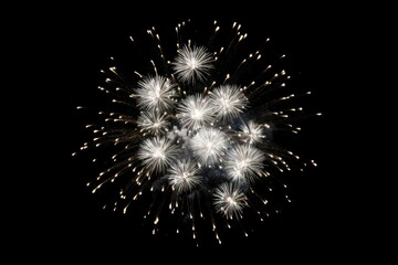 Fototapeta premium Winter firework fireworks black background illuminated.
