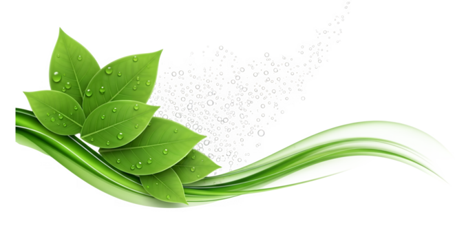 Vibrant green leaves with water droplets forming a flowing, abstract natural border design isolated on transparent background