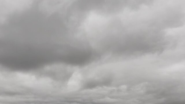 Quite problematic gray sky landscape