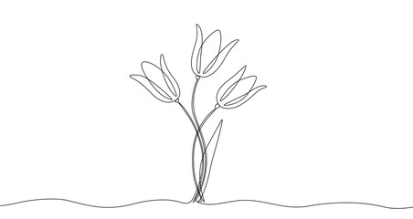 Fototapeta premium Three tulips on stems in continuous one line art style. Flower bouquet sketch with editable black stroke on white background. Vector illustration.