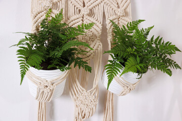 Beautiful potted houseplants hanging in macrame planter on white wall