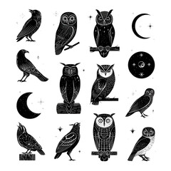 Owl icons with moon and stars, black and white illustrations on transparent background