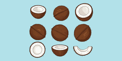 Coconut illustration set, whole and sliced coconuts, tropical fruit variations, culinary and botanical vector art, flat vector illustration