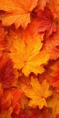 Fototapeta premium Vibrant Autumn Leaves in Shades of Red, Orange, and Yellow