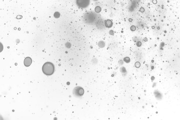 snowfall or snowflakes on transparent background,Christmas or New Year card. Falling realistic natural snowflakes overlay,xmas decoration,Frost storm effect, snowfall, ice,winter