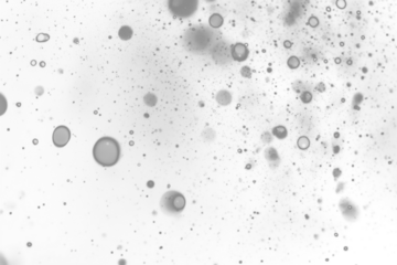 snowfall or snowflakes on transparent background,Christmas or New Year card. Falling realistic natural snowflakes overlay,xmas decoration,Frost storm effect, snowfall, ice,winter