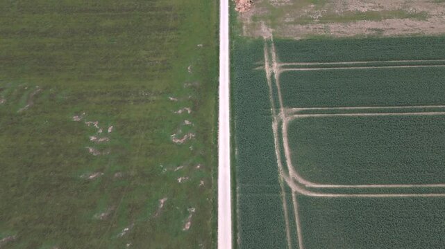 High drone flight over rural winter fields