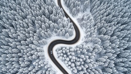 Aerial View of Winding Road Through Snowy Forest stock