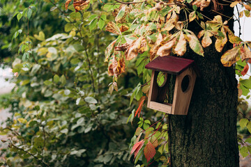 Wooden bird feeder hanging on a tree trunk among green leaves.