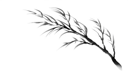 Naklejka premium Elegant Ink Wash Painting of a Willow Branch on White Background.