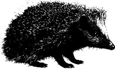 Obraz premium Black and white stencil illustration of a perched hedgehog for creative design