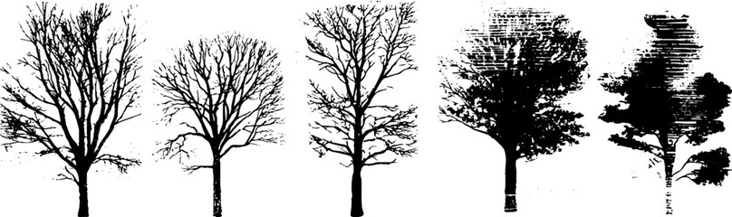 Obraz premium Black and white barren winter trees stencil illustration for seasonal design