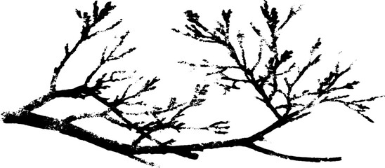 Obraz premium Black and white grunge stencil of stripped tree branches for artistic design