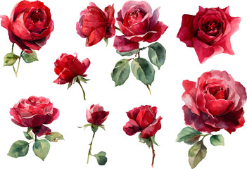 Fototapeta premium bouquet of red roses