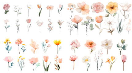 Fototapeta premium A delicate watercolor set of wildflowers in soft pastel shades with gentle stems and petals, perfect for botanical design, wedding themes, spring artwork, and elegant decorative projects.