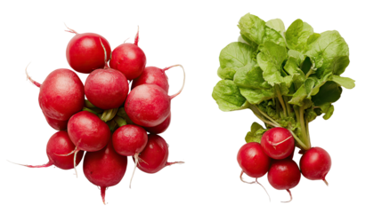 Two piles of radishes side by side one whole and one sliced on transparent background
