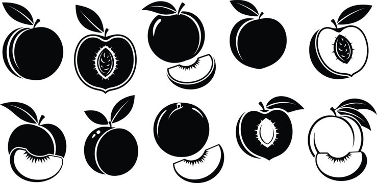 Peach fruit vector icons set; whole, sliced, and half peach Vector