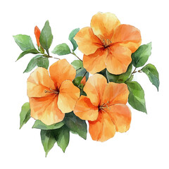 Trumpet Creeper Flower, playful watercolor vector depicting lively antics and expressive gestures, isolated on a white background. © zenvor