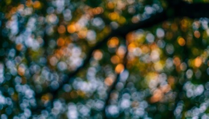 Blurred Tree Canopy with Abstract Bokeh for Nature, Forest, and Atmospheric Backgrounds