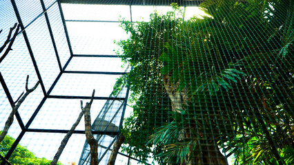 Steel wire chain link fence seamless pattern. Metal lattice with rhombus, diamond shape silhouette. Barbed wire fence and steel fence in the zoo. Bird cage close up. Bird house with wired fence