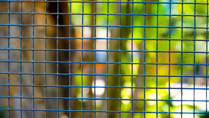 abstract colorful background. Steel wire chain link fence seamless pattern. Metal lattice with rhombus, diamond shape silhouette. Barbed wire fence and steel fence in the zoo. Bird cage close up. Bird