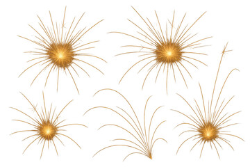 Obraz premium Golden sparks with burst effect and shining light on transparent background, reflecting energy and celebration